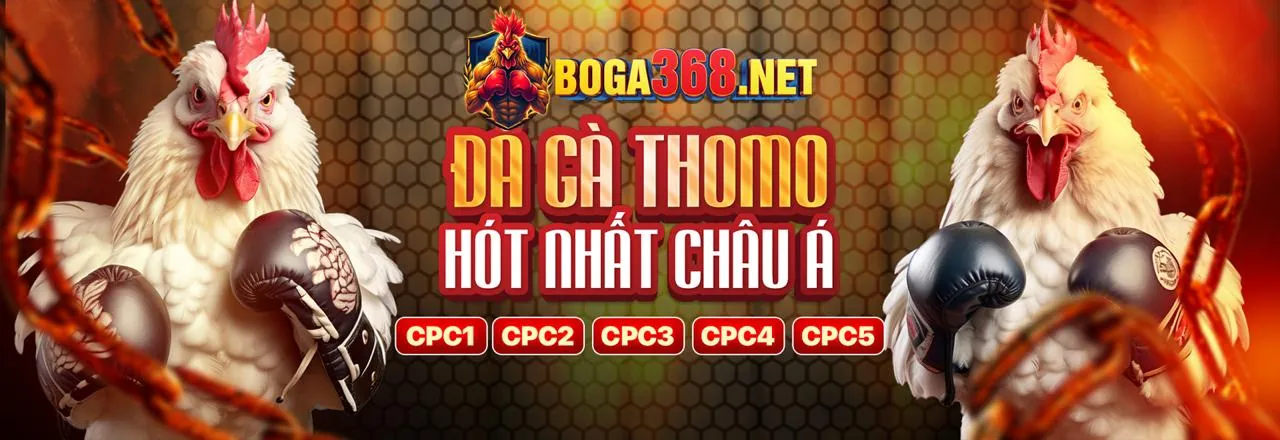 Hình ảnh chính ưu đãi GA28 Nhà Cái 2026